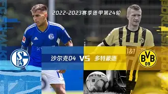 亚洲体育博彩平台排名-沙尔克球星